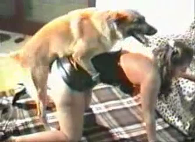 Video :Zoofilia lover girl jacking off dog dick and have dog sex